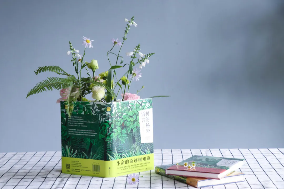 1776756048894440.png 95d740564fe387466dc79d2548bece2b