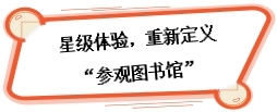 图片8